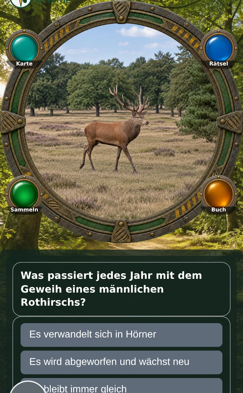 Gemeinsam eine Frage lösen in Dierenexpeditie