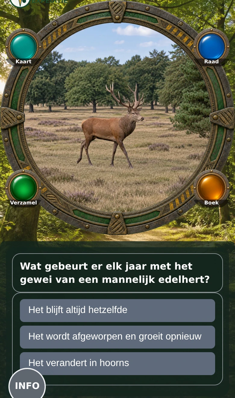 Samen een vraag oplossen in Dierenexpeditie